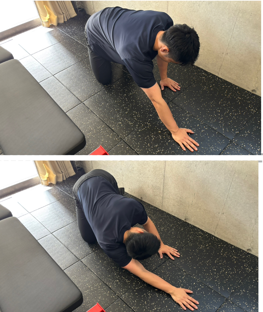  広背筋（背中全体）のストレッチ
